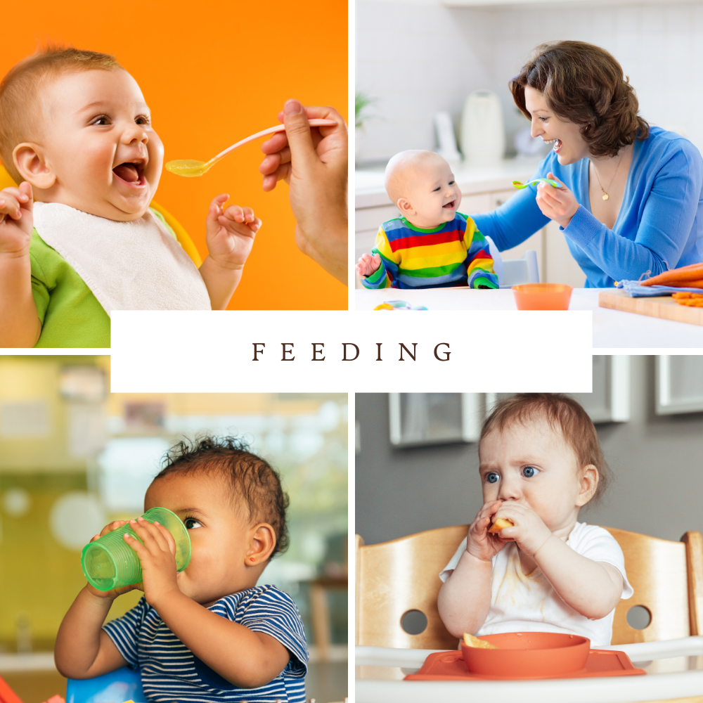 Feeding