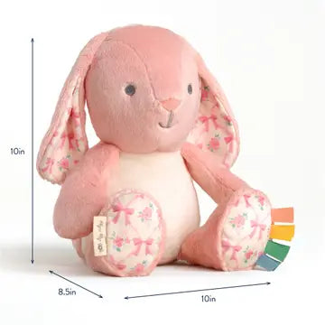 Itzy Ritzy Sweetie Snuggles Plush
