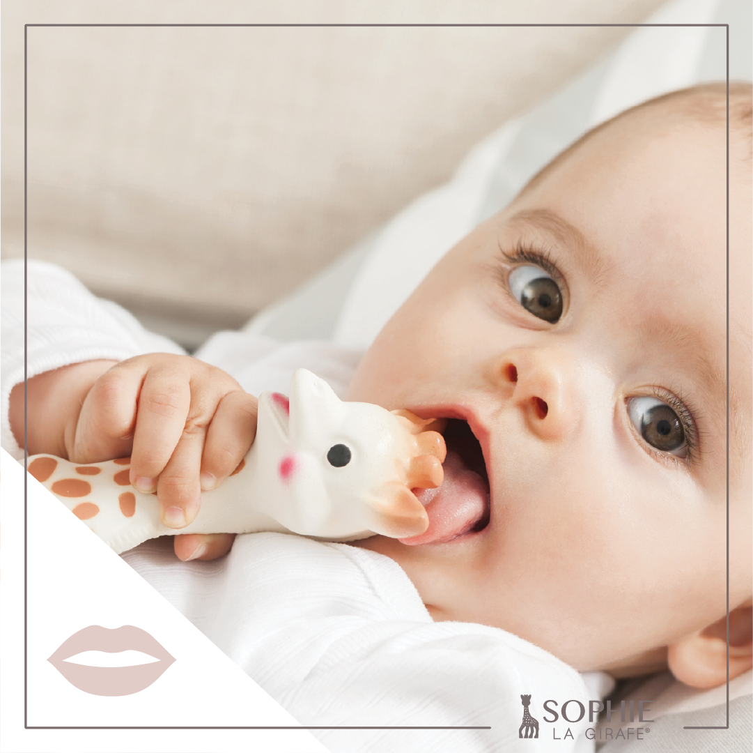 Sophie la Girafe - Sophie La Girafe White Box- Classic