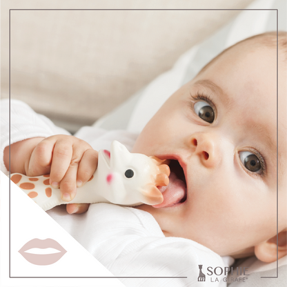 Sophie la Girafe - Sophie La Girafe White Box- Classic