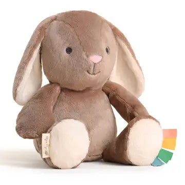 Itzy Ritzy Sweetie Snuggles Plush