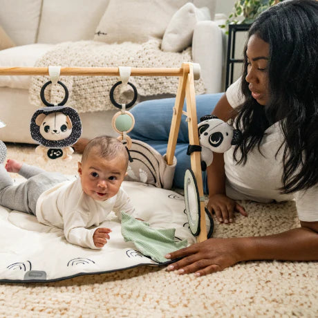 Tiny Love Black & White Gymini