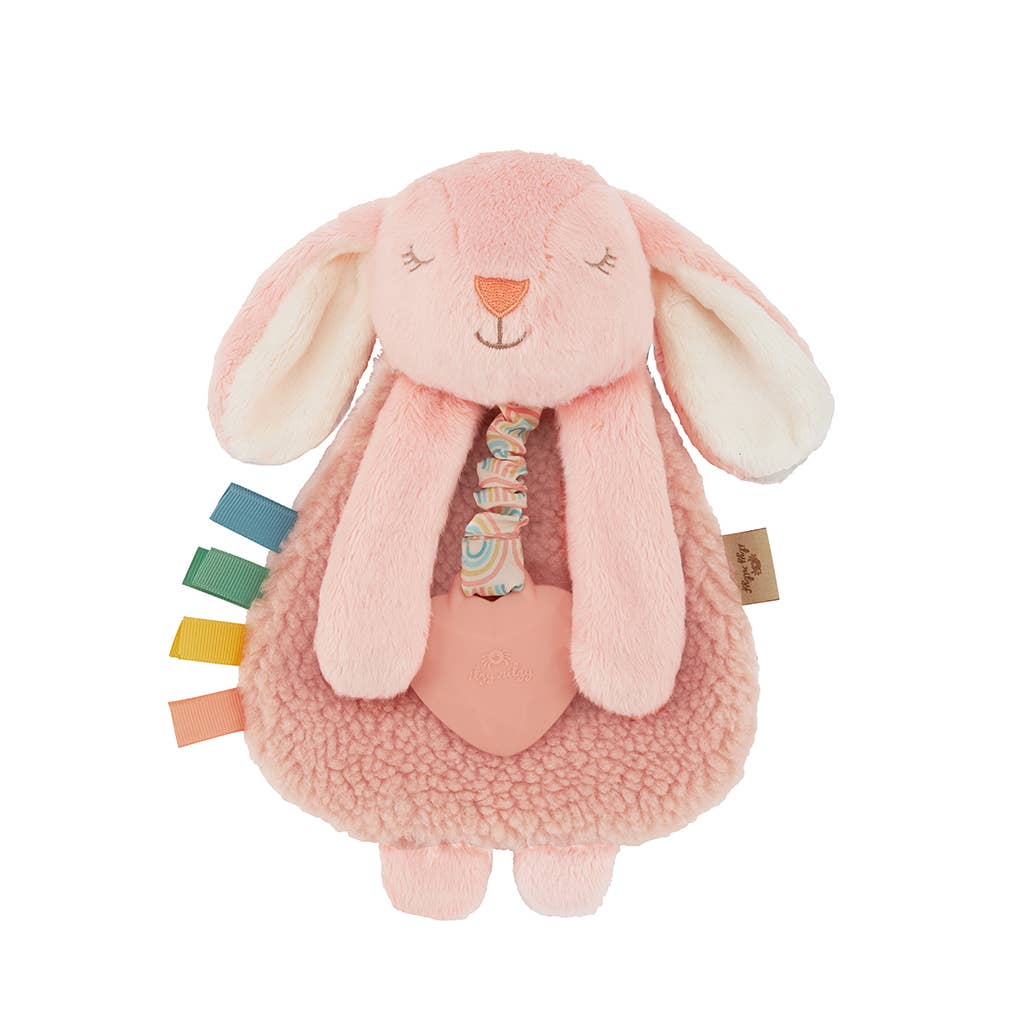 Itzy Ritzy - Friends Lovey™ Plush with Silicone Teether Toy - Ana the Bunny
